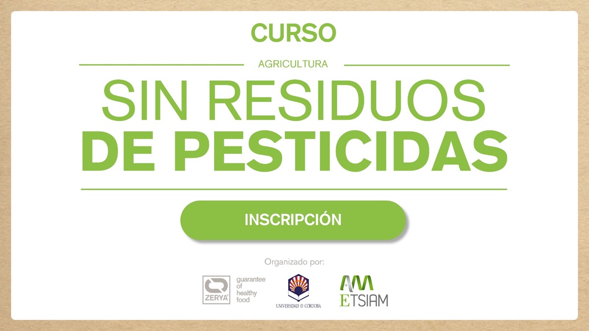 zerya curso